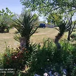 Ruzmarin Velika Cista (Sibenik-Knin)