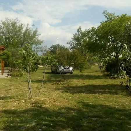 Ruzmarin Velika Cista (Sibenik-Knin)