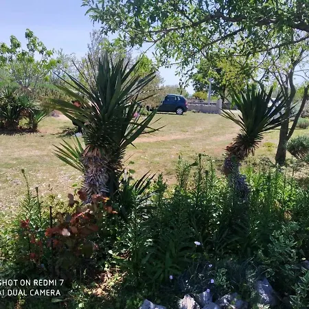 Ruzmarin Velika Cista (Sibenik-Knin)