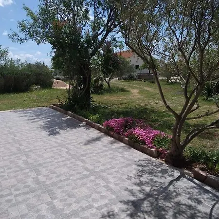 Ruzmarin Velika Cista (Sibenik-Knin)