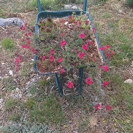 Ruzmarin Nyaraló *
