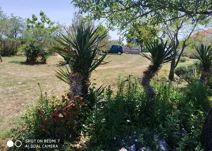 Ruzmarin Velika Cista (Sibenik-Knin)