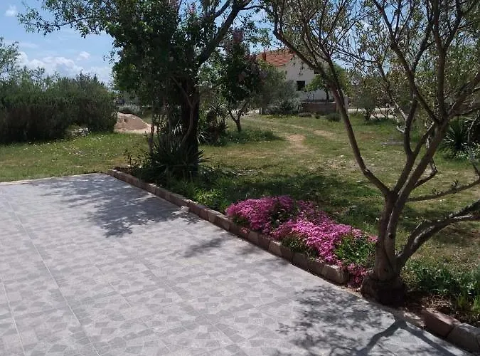 Ruzmarin Velika Cista (Sibenik-Knin)